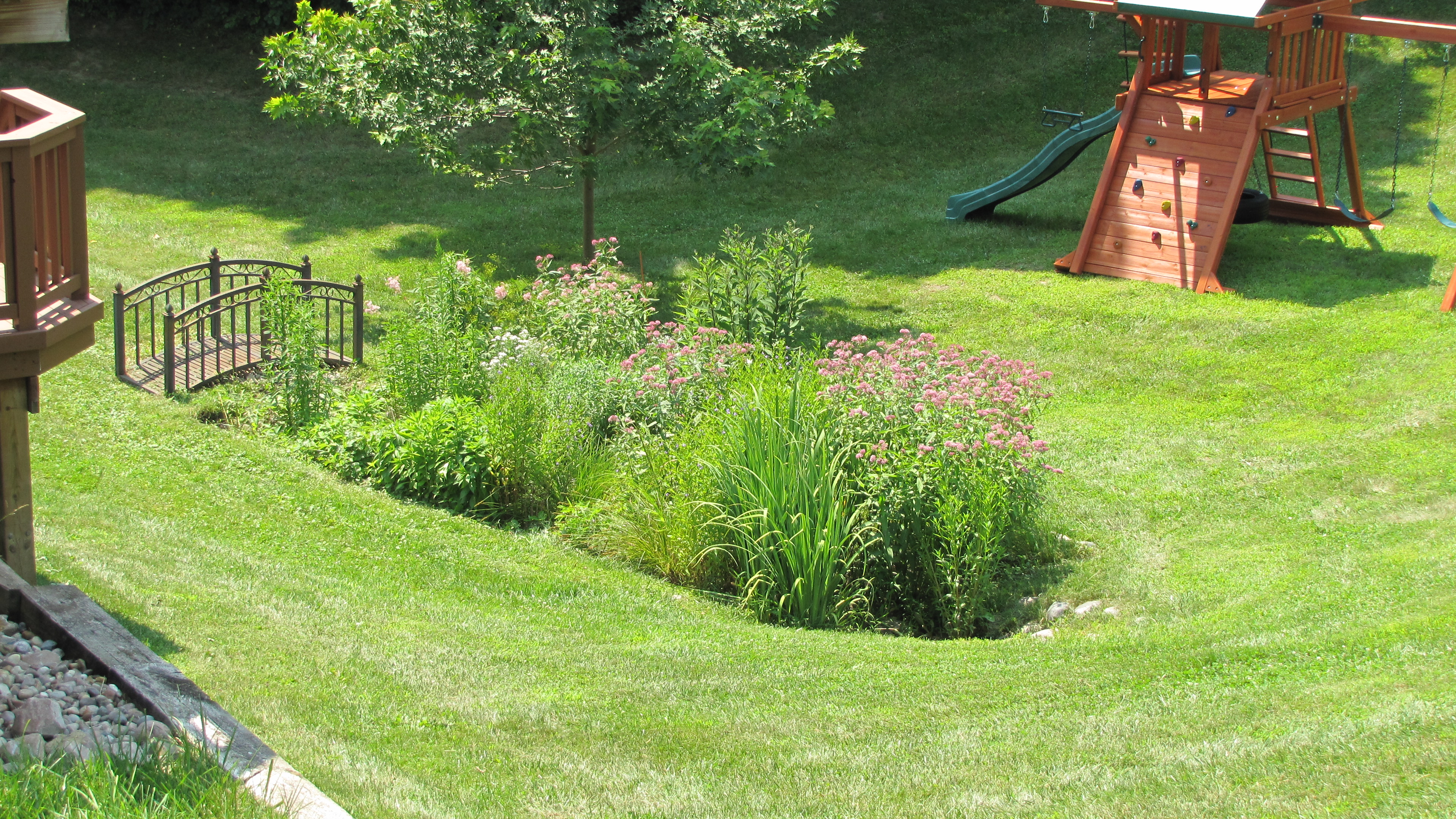 Rain Garden Design & Construction in Ann Arbor, MI | Creating